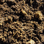 blended soil