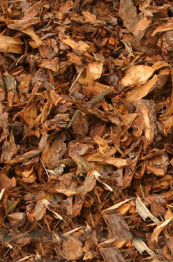 mulch